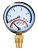 картинка Термоманометр Millennium вертик. подключение 